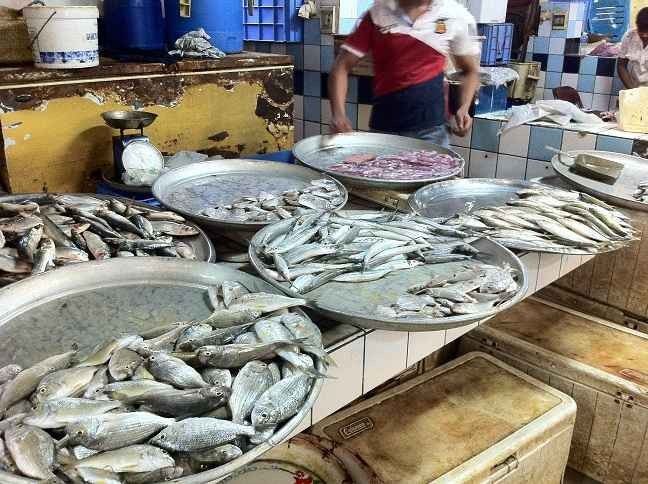سوق السمك Fish Market
