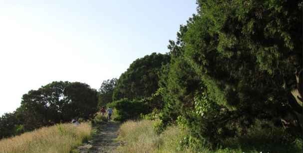 منتزه عسير الوطني Asir National Park