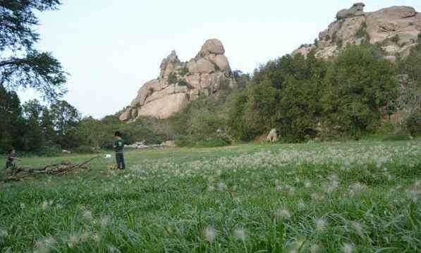 منتزه الشرف بتنومه Al Sharaf Park Tanomah