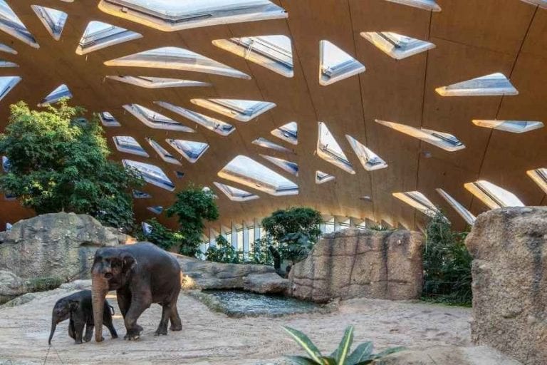 حديقة حيوان زيورخ - Zoo Zurich