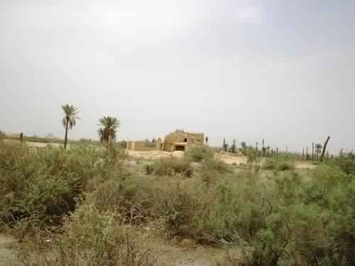 قصر العين في العوشزية Al Ain Palace in Al Oushzih