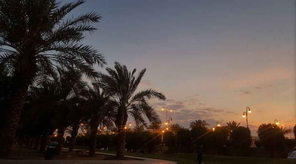 منتزه الروضة Rawdah Park