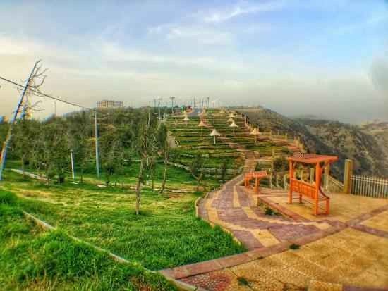 غابة رغدان Raghadan Forest Park