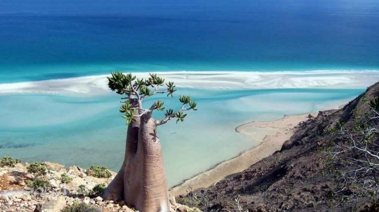 سقطري Socotra