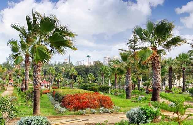 حدائق المنتزة Montazah Gardens