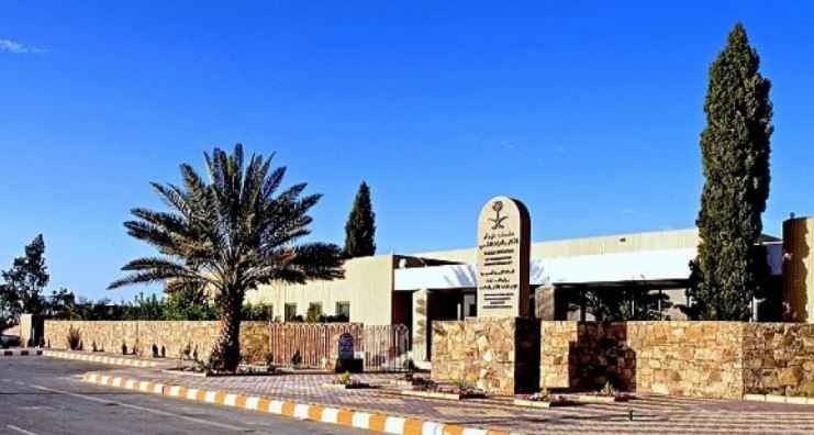 متحف تيماء Tayma Museum