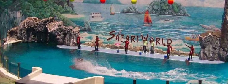 - حديقة "عالم سفاري بانكوك" Safari World" "..