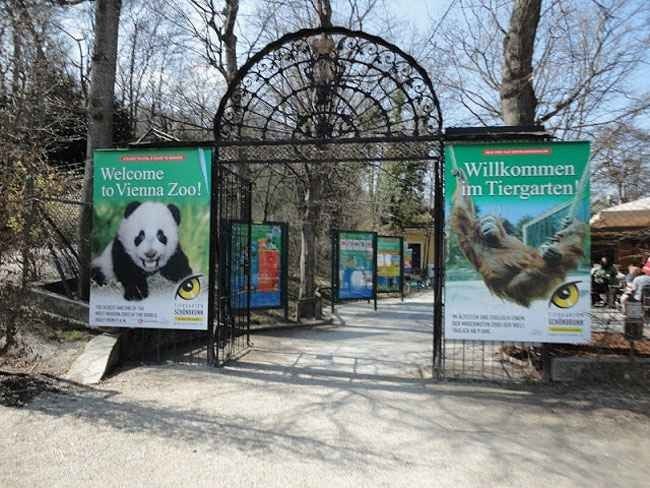 - حديقة الحيوان فى فيينا...
