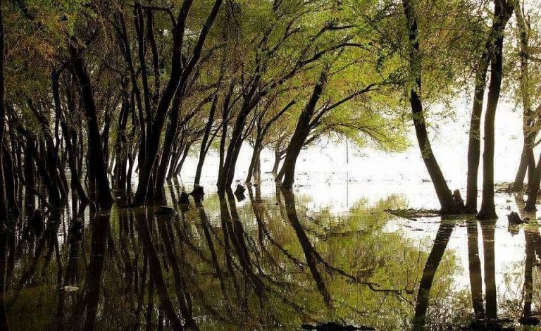 " غابة السنط " .. أهم اماكن السياحة في الخرطوم ..