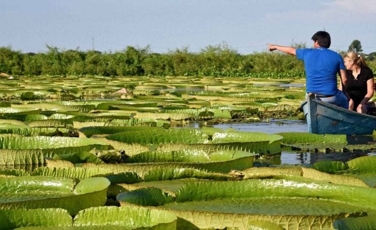 " نهر باراغواى River of Paraguay " .. افضل اماكن السياحة في بارغواي ..