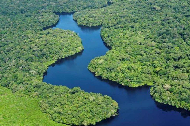 - بانتانال "Pantanal"..واحدة من أهم الاماكن السياحية في البرازيل..