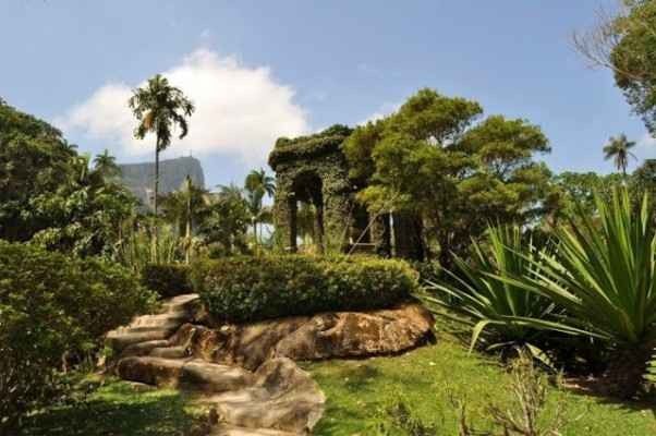 - حديقة "ريو دي جانيرو النباتية Rio de Janeiro Botanical Garden” "..