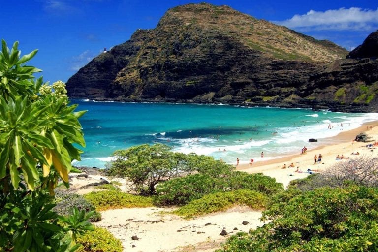 - إليك ..جزيرة "أواهو" Oahu beach واحدة من أفضل الاماكن السياحية في هاواى...