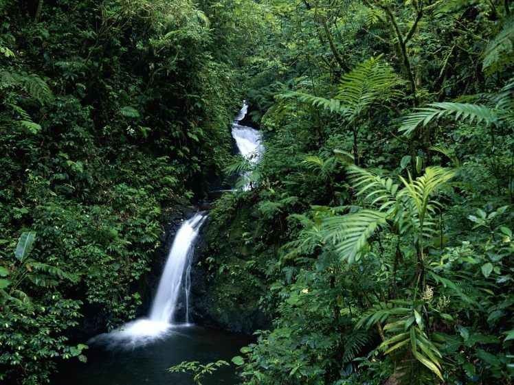 " غابات مونت كريستو Forest Of Monte Cristo " .. افضل اماكن السياحة في السلفادور ..