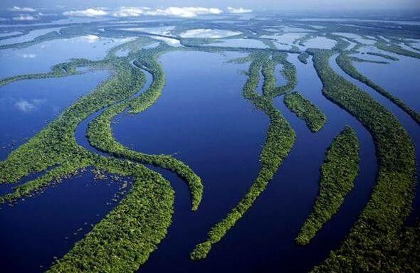 - نهر الأمازون " Amazon River"