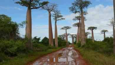 السياحة في مدغشقر