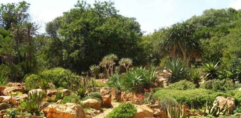 - حديقة "والترسيسولو"..واحدة من اهم معالم السياحة في جنوب أفريقيا..