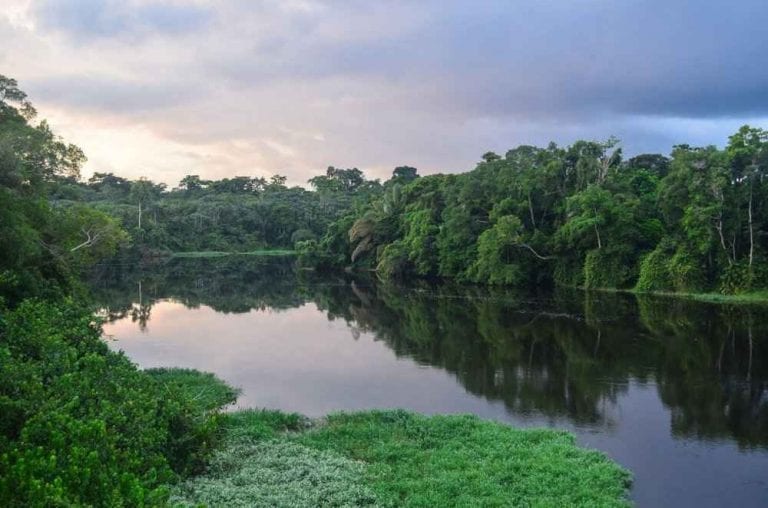 - نهر "أوجوى"..واحدا من افضل اماكن السياحة في الغابون..