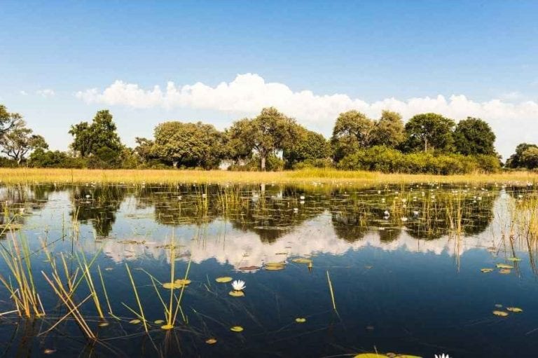 " دلتا أوكافانجو Okavango Delta " .. اجمل اماكن السياحة في بوتسوانا ..