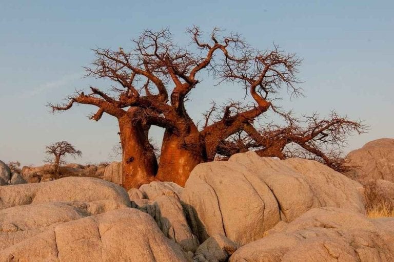 " ماون Maun " .. الاماكن السياحية في بوتسوانا ..