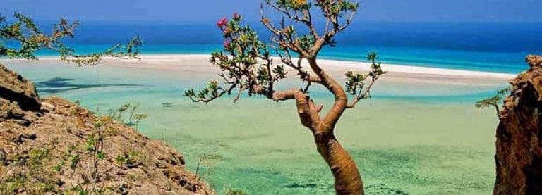 الاماكن السياحية في الصومال .." شواطئ الصومال Somalis Beaches " ..