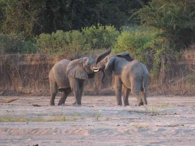 " محمية موريمى Morimi Reserve in botswana " .. افضل اماكن السياحة في بوتسوانا ..