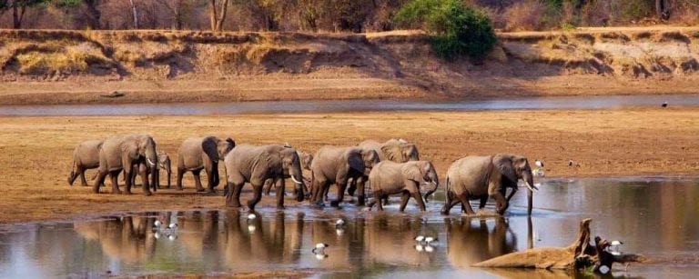  " منتزه جنوب لوانغوا South Luangwa National Park " .. افضل اماكن السياحة في زامبيا ..