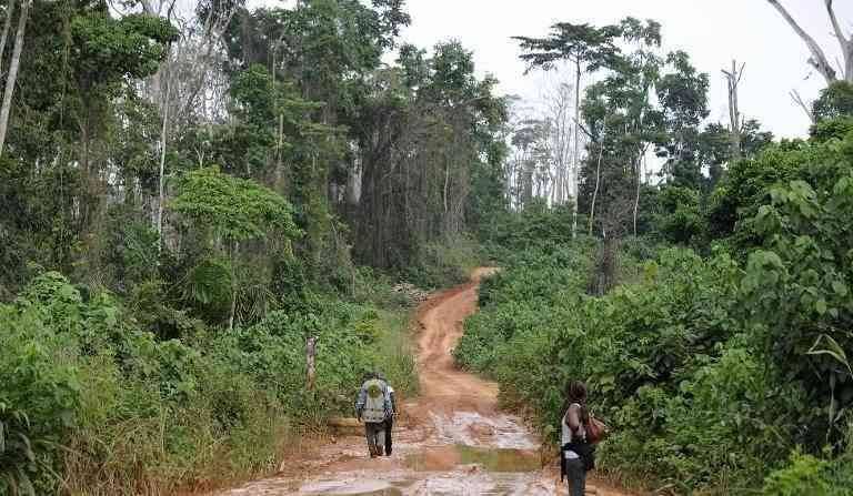 -غابة "بانكو الوطنية"Banco National Forest.. افضل اماكن السياحة في ساحل العاج..
