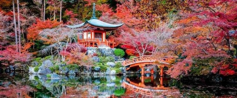 السياحة في كيوتو koyoto - تاريخ كيوتو اليابان