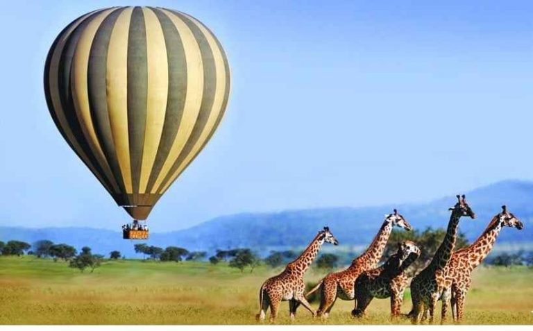 - محمية "ماساي مارا" .. أهم اماكن السياحة في كينيا..