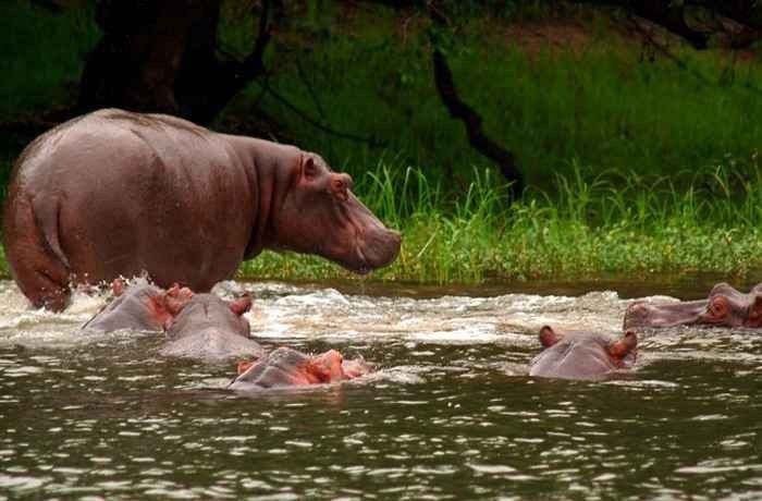 " موزي أوا تونيا Mosi Oa Tunya National Park " .. الاماكن السياحية في زامبيا ..