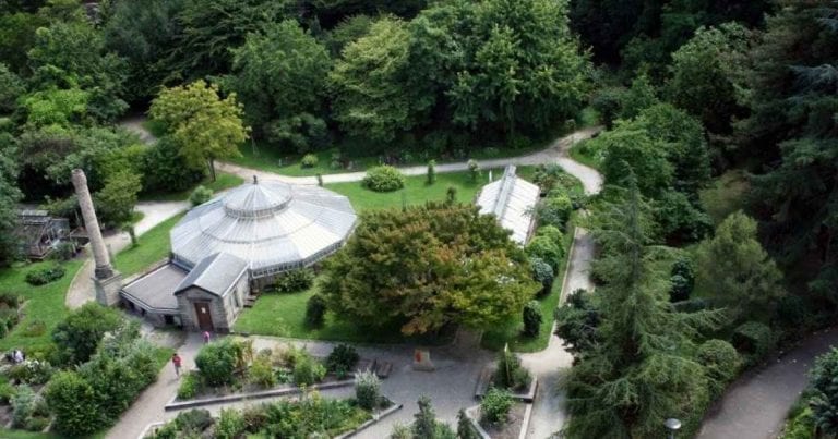 الاماكن السياحية في مدينة ستراسبورغ .." الحديقة النباتية لجامعة ستراسبورغ Botincal Garden Strasbourg " ..