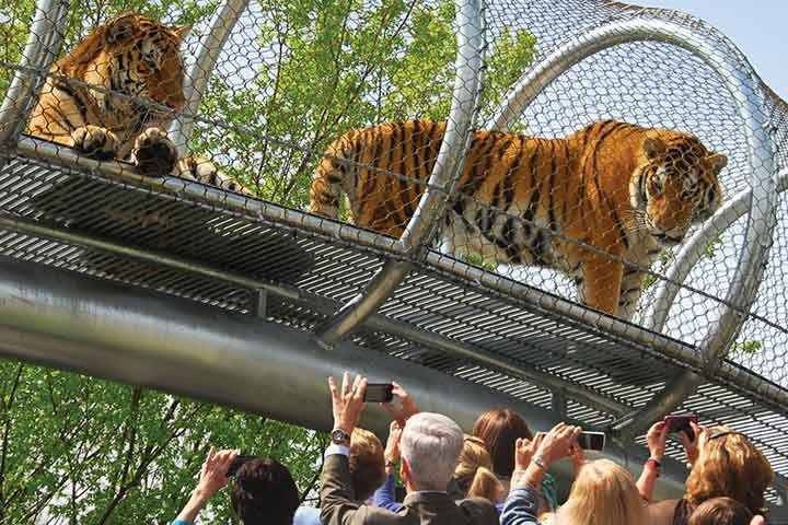  " حديقة الحيوانات بفيلادلفيا Philadelphia Zoo " .. افضل اماكن السياحة في فيلادلفيا ..