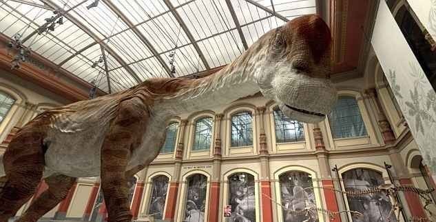 " متحف التاريخ الطبيعي Berlin Natural History Museums " ..