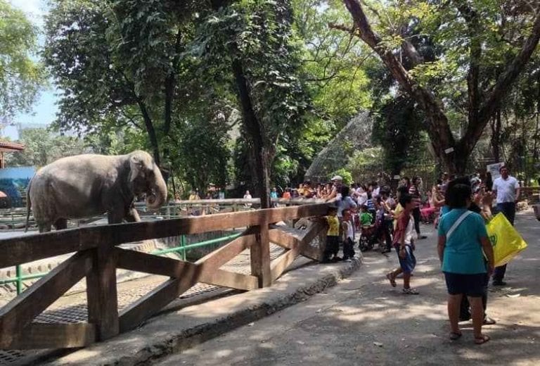 حديقة حيوان مانيلا 