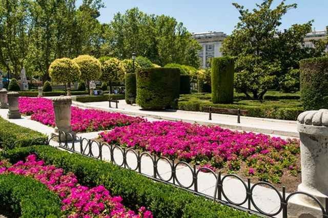 اليوم الثانى " الحديقة النباتية الملكية - بلازا مايور مدريد " ..