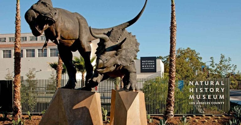 " متحف التاريخ الطبيعى فى لوس أنجلوس Natural History Museum of Los Angeles County " ..