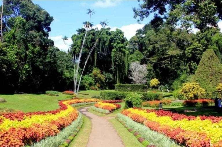 حديقة الزهور - منتزهات في سريلانكا Sri Lanka