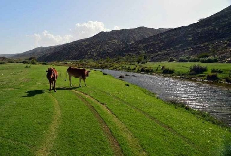 وادي ترج في تنومه