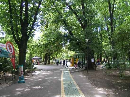حديقة هيريستراو بوخارست Herastrau Park