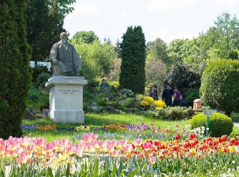  حديقة بوخارست النباتية Bucharest botanical garden
