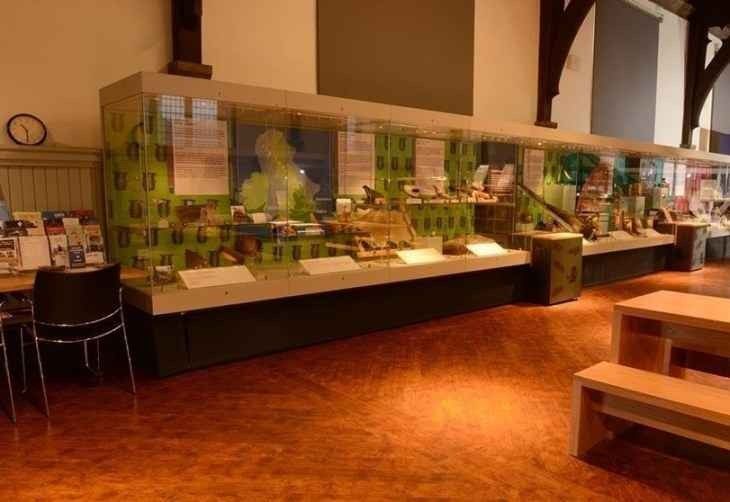 متحف الأثار بمكتبة القصر الأخضر