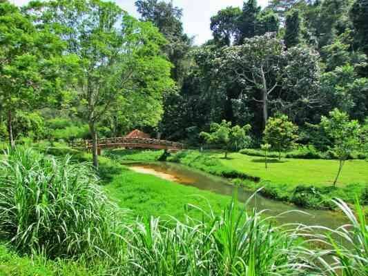 التجول الليلي في حدائق بينانج - الأنشطة السياحية في بينانج PENANG