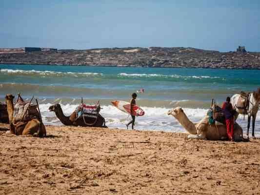 "السباحة" بشاطىء الصويرة..واحدا من أهم الانشطة السياحية في المغرب..