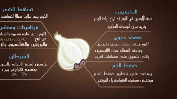 فوائد الثوم الصحية - فوائد الثوم