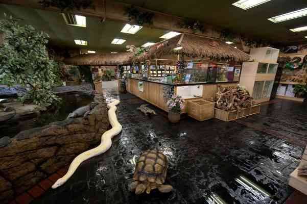 Reptile Zoo - المناطق السياحية القريبة من سياتل seattle