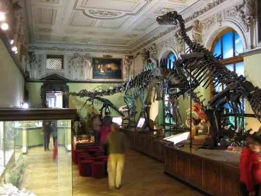 متحف التاريخ الطبيعي Natural History Museum