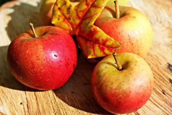 فوائد قشر التفاح