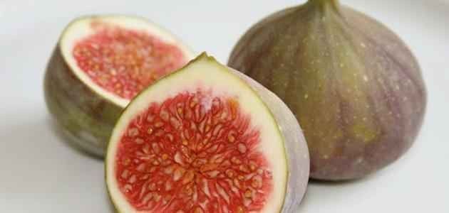 فوائد التين