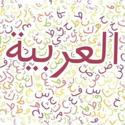 علوم اللغة العربية - مصطلحات اللغة العربية